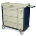 Harloff SL600PC Punch Card Medication Cart Navy